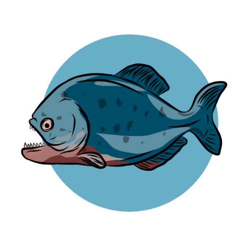 Piranha